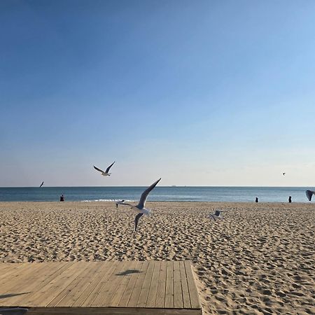 Hera Haeundae Beach Premium Ocean View # Sea View Busan Eksteriør bilde