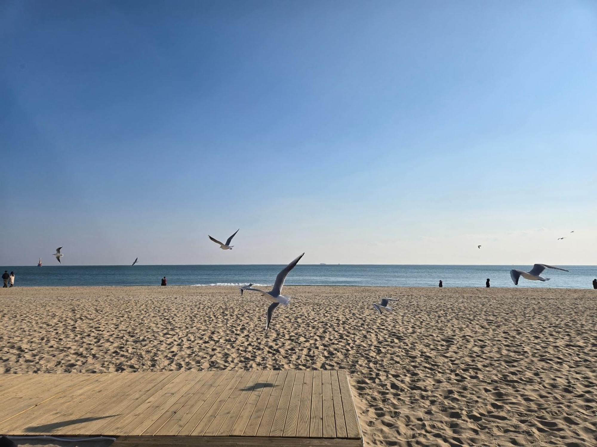 Hera Haeundae Beach Premium Ocean View # Sea View Busan Eksteriør bilde